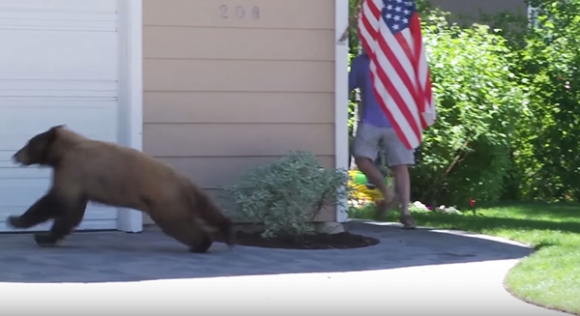 ‘깜짝이야’ 사람보고 놀라 줄행랑치는 야생곰 外