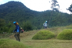 순천시산림조합 ‘묘지벌초대행’ 호평