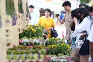 꽃으로 물드는 신촌