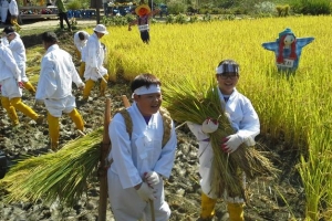 강동 어린이 “올가을 꼬마농부 나야 나”