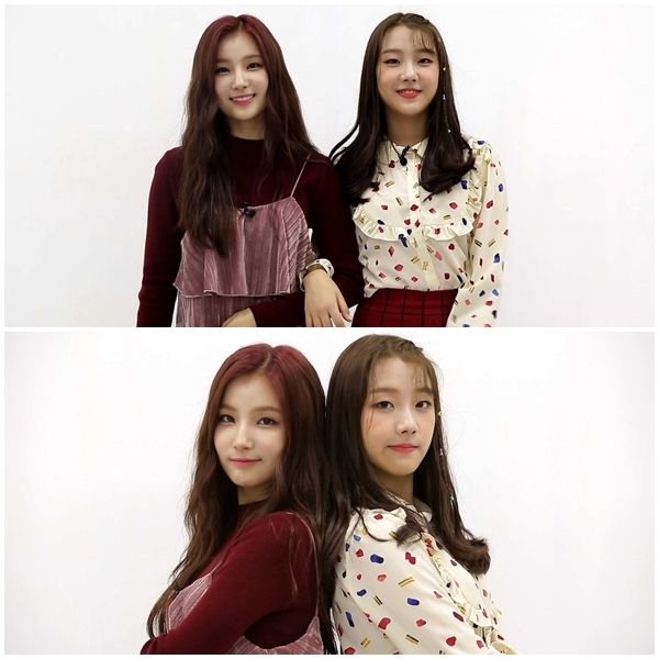 엘리스 소희 가린