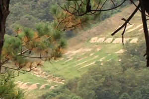 군 “도비탄이 원인 추정”…시민들 “사건 덮으려는 것” 의문 제기