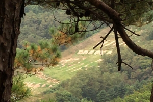 군 “도비탄 아닌 유탄”…이 상병 아버지 “누가 쏜 유탄인지 알고 싶지 않다”
