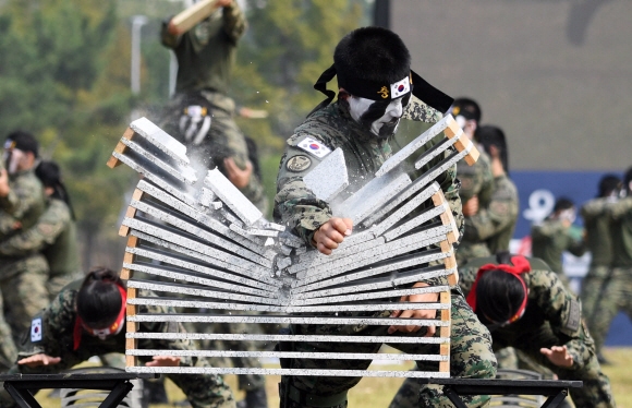 제69회 국군의날 기념식을 사흘 앞둔 25일 경기 평택시 해군 제 2함대에서 열린 미디어데이 행사에서 군전사들이 특공무술 시범을 보이고 있다.  박윤슬 기자 seul@seoul.co.kr