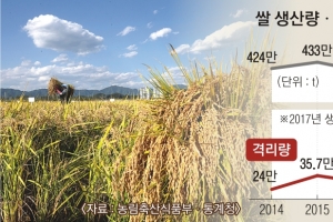 [뉴스 분석] 정부, 쌀값 안정 위해 72만t 매입… 창고에 쌓아둔 206만t은 어쩌나