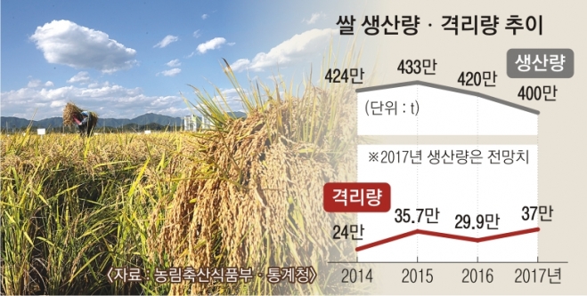 28일 강원 춘천시 우두동 논에서 농민들이 누렇게 익은 쌀을 수확하고 있다. 연합뉴스