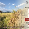 [뉴스 분석] 정부, 쌀값 안정 위해 72만t 매입… 창고에 쌓아둔 206만t은 어쩌나