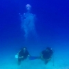 스쿠버 다이빙 중 포착된 ‘버블 유령’