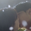 ‘당신이 잠든 사이에’ 수지♥이종석, 벚꽃 아래 달콤한 키스