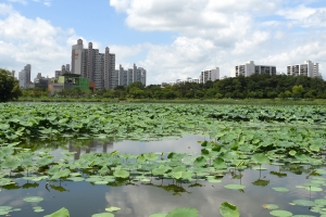 정조가 만든 저수지 ‘만석거’ 세계 유산 등재
