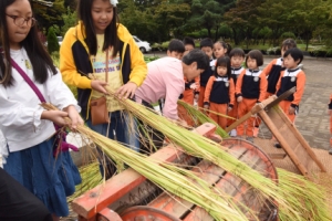 도심 아이들의 추수걷이