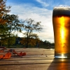 [맥덕기자의 맛있는 맥주이야기] [시즌2] ⑬ 가을에는 ‘가을 맥주’를 마셔요.