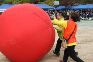 강서구, 제15회 장애인어울림한마당 개최…18일 공동체 경기와 장기자랑 열려