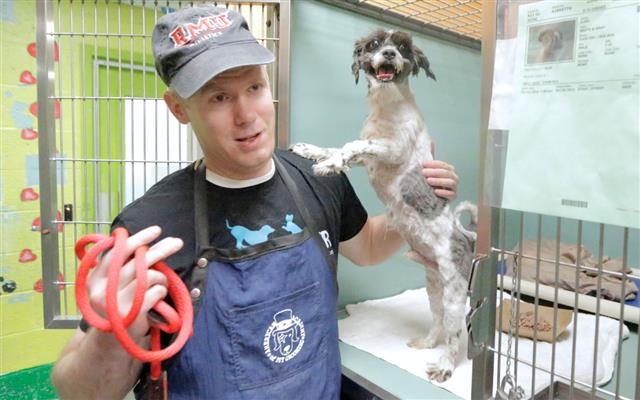 마크 임호프가 최근 노령견 입양단체 수지스 시니어 도그스에서 보호 중인 한 유기견을 목욕시키고 있다. 출처 수지스 시니어 도그스(Susie‘s Senior Dogs)