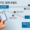[단독] 연휴 내내 ‘카드 돈줄’ 막힌 자영업자들 분통