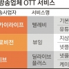 ‘TV OTT …유선·위성방송 가세 뜨거워진 ‘스트리밍’