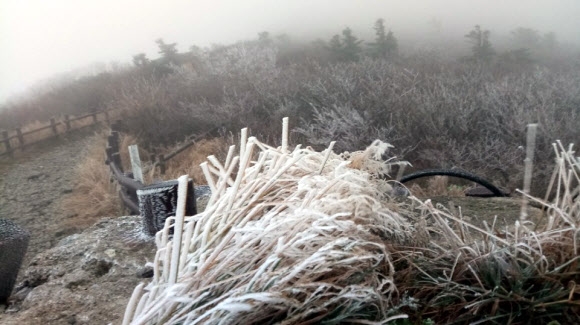 설악산 상고대 관측