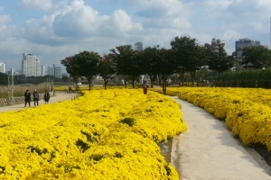 울산 태화강 국가정원 지정 범시민추진위 출범