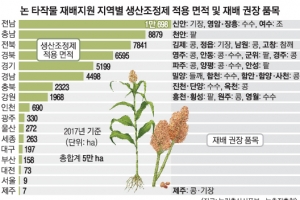 [단독] 논에 벼 대신 콩 심으면 보조금 200만원 받는다