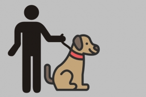 도그포비아 서울시, 펫티켓이 답이다