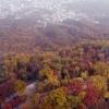 [서울포토] 단풍으로 물든 남산