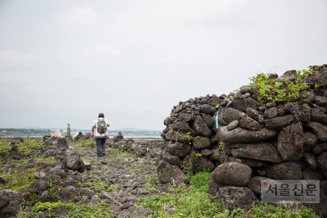 제주를 찾은 여행객이 제주올레 4코스(표선해수욕장~남원포구)를 걷고 있는 모습. 제주올레 제공 