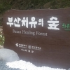 부산 기장군에 영남권 첫 치유의 숲 3일 개관