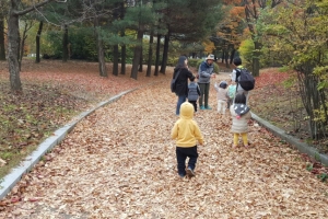 “낙엽 밟으며 가을 정취 느껴요”…성남 중앙공원에 낙엽거리