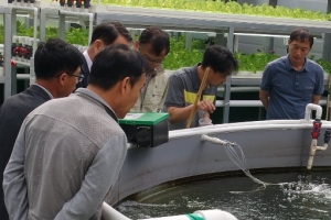 고기 배설물로 채소 키운다, 경기도 친환경 농법 개발