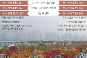 ‘미세먼지 심한 날’ 사흘 뒤엔    입원하는 천식환자 50% 급증