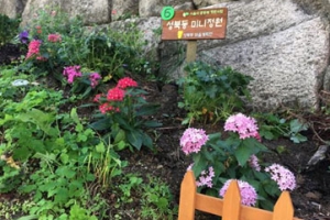 성북 주민 손길에… 꽃밭 된 공터