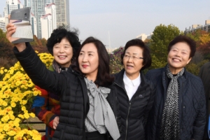 양재천 한걸음, 가을 한걸음