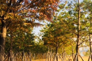 서울시 선정, 가을 산책 ‘한강 3대 명소’는?