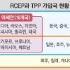 16개국 인구 30억명 ‘RCEP’ 첫 정상회의