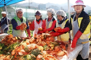 [도심 텃밭서 가꿔… 어려운 이웃에 사랑의 김장 나눕니다] 관악은 父子가정 291가구 등을 위해 엄마손 됐네