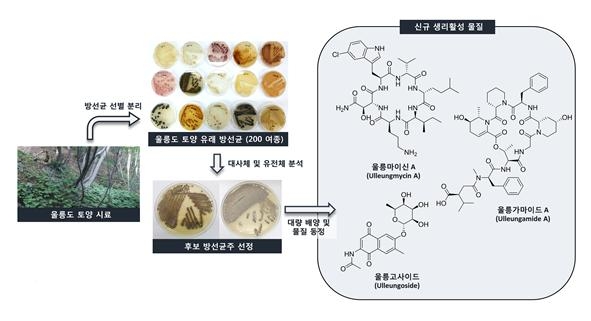 울릉도 유래 토양 방선균으로부터 새로운 생리활성물질 발굴 연구 개요 한국생명공학연구원 제공