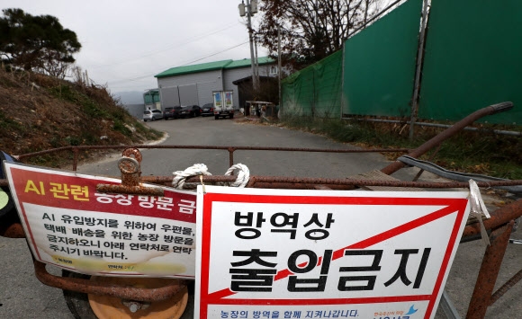 전북서 고병원성 AI…닭·오리 이틀간 이동 금지