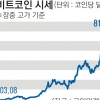 비트코인 8000弗 첫 돌파… 11개월 만에 8배 ‘껑충’