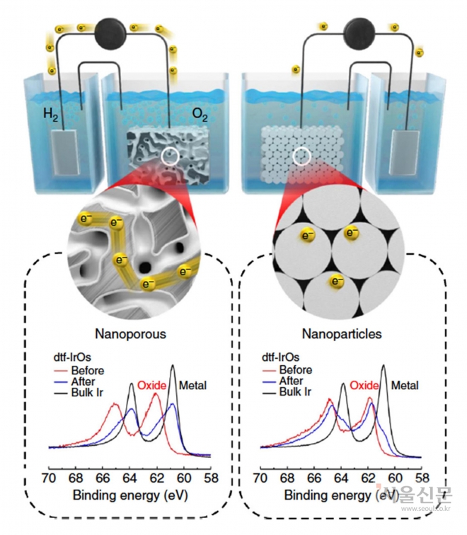 전극구조에 있어서 전하전달 고속도로 기본개념도. 부산대 제공