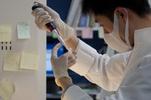 줄기세포와 약물 동시 사용하면 치매 완치되나?