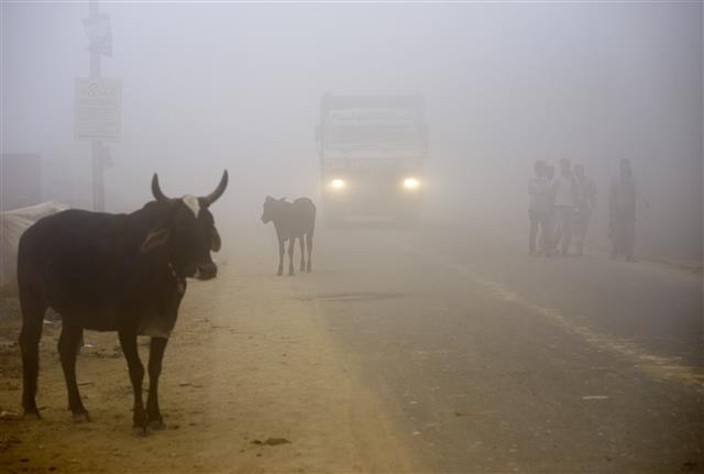 지난 8일 극심한 스모그에 휩싸인 인도 수도 뉴델리 인근 지역의 도로 모습. AP 연합뉴스