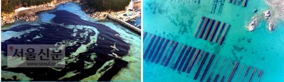 2007년 12월 충남 태안 앞바다가 검은색 기름으로 뒤덮여 있다(왼쪽). 사고 이후 10년이 지난 태안 의항의 굴 양식장과 바다가 에메랄드 빛깔을 띠고 있다(오른쪽).