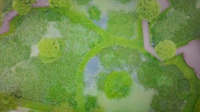 제7회 의왕시 UCC 공모전 최우수상에 선정된‘의왕을 달리다’의 한장면 습지테크의 모습. 의왕시 제공