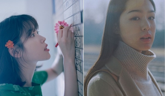 아이유, 체리비