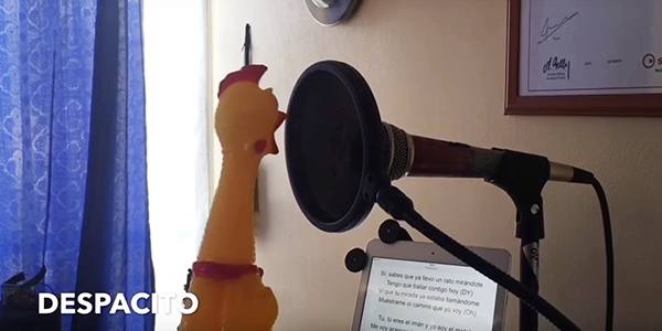 유튜브 영상 캡처