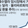 부도위기 베네수엘라, 가상 화폐 도입 추진