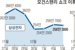 널뛰는 삼성전자·SK하이닉스… 그래도 ‘배당금 잔치’