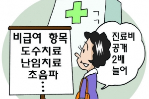 ‘비급여 ’ 도수치료·초음파  내년 4월부터 진료비 공개