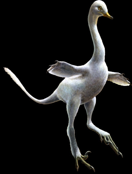 백조 닮은 7천만년전 공룡