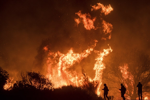 美 캘리포니아 산불, 벤추라 인근서 사망자 시신 첫 확인